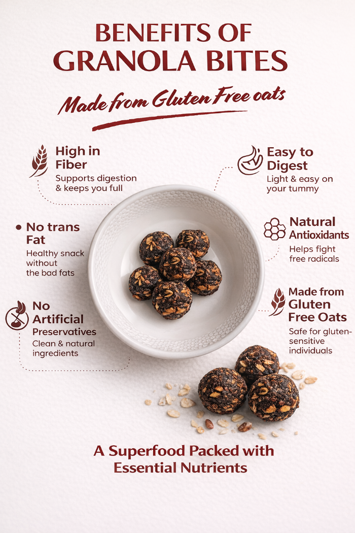 Granola Bites- Rich Chocolate